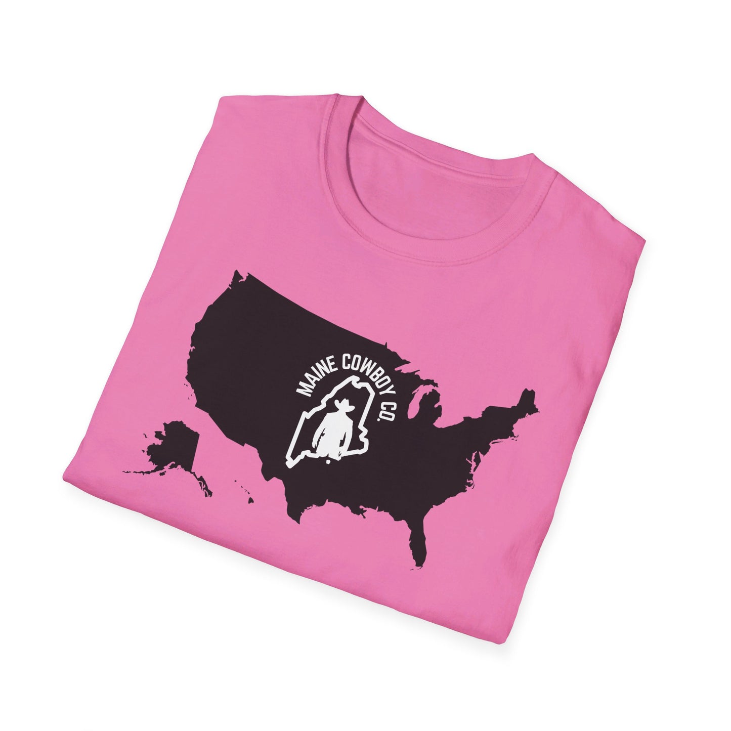 Softstyle United States T-Shirt