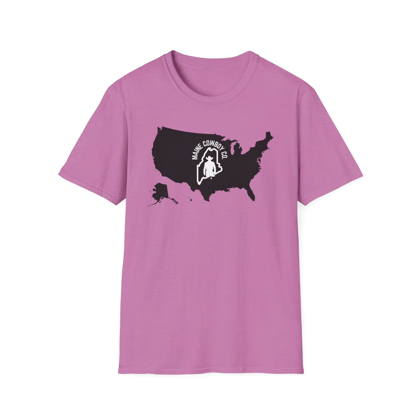 Softstyle United States T-Shirt